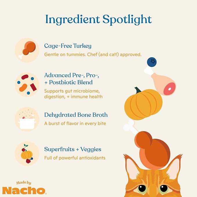 Made by Nacho Bone Broth Infused Dry Cat Kibble - Digestive Support, Cage-Free Turkey and Pumpkin - Premium Grain-Friendly Cat Food 4lb Bag, Limited Ingredients