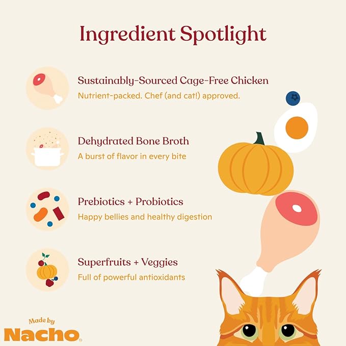 Made by Nacho Bone Broth Infused Dry Cat Kibble - Cage-Free Chicken & Pumpkin Recipe - Premium Grain-Friendly Cat Food 4lb Bag, Limited Ingredients