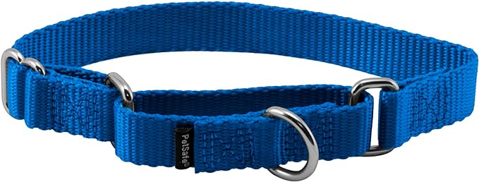 PetSafe Adjustable Martingale Collar - Only Tightens When Dogs Pull, Prevents Slipping Out - Helps with Strong Pullers, Increased Control - Alternative to Choke Collar - 3/4", Small, Royal Blue