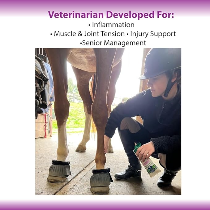 Dr. Milt's Horse Topical Epsom Salt Pain Relief Ointment Veriety packs - Cream, Gel, Spray. Liniment and Poultice, Hip and Joint Care for The Horse and Rider.