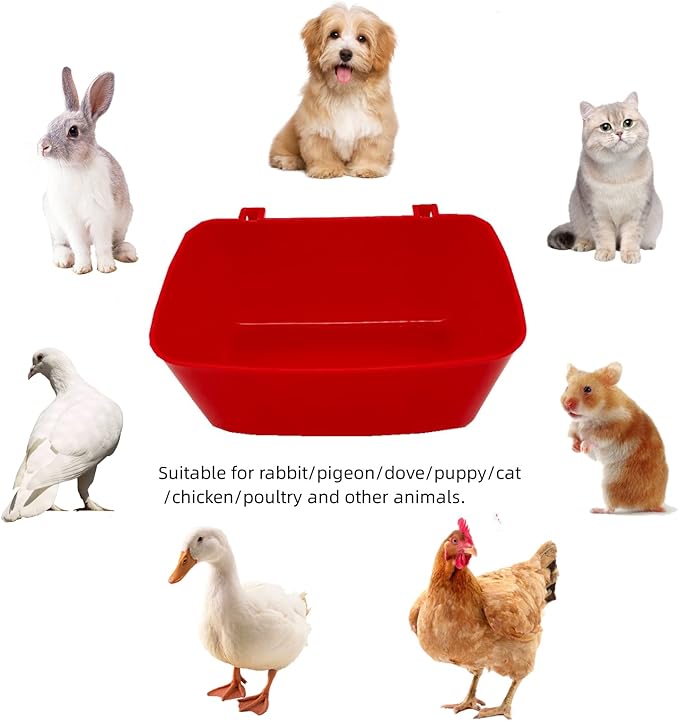 10 Pack Plastic Chicken Feeder, 21 oz, Hanging Coop Watering Container for Poultry, Rabbit, Guinea Pig