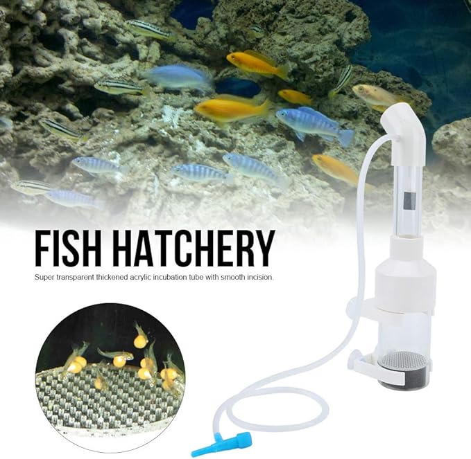 Fish Tank Hatch Tool Acrylic 25cm x 50mm Short Professional Fish Tank Aquarium Cichlids Tumbler Incubator Fish Hatchery Eggs Incubator