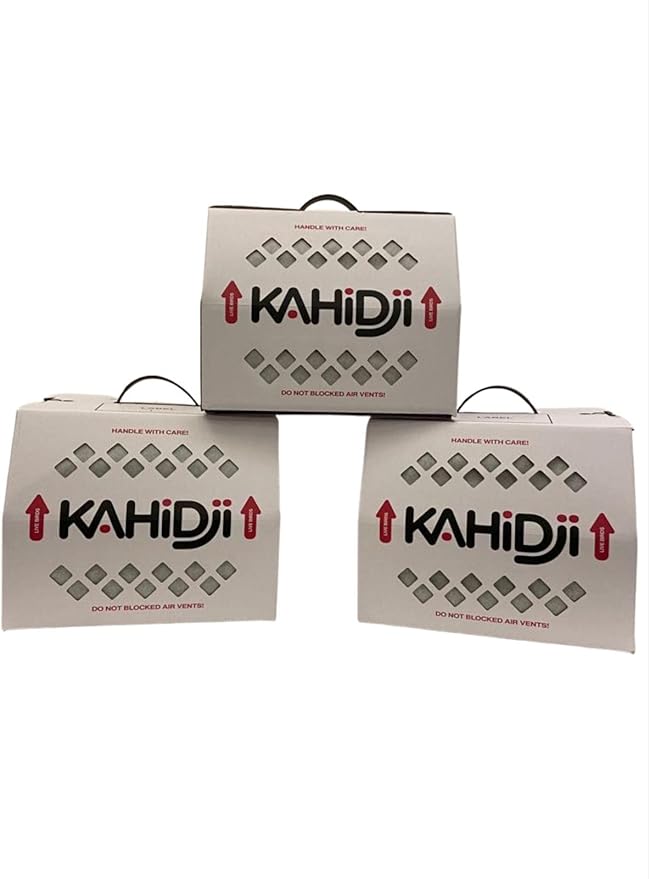 Live Bird Shipping Box Less Expensive Size 12" x 12" x 10" Tall - for Poultry, Pigeons, & Canaries -3 Boxes by KAHIDJI