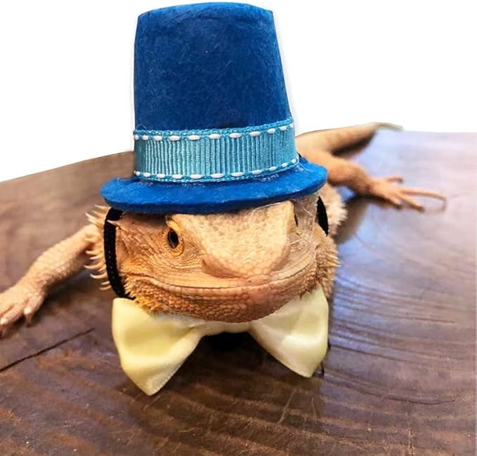 Bearded Dragon Leash Harness with Magician Hat and Bowtie Halloween Costume Set,3 Size Pack Bat Wing with Leash for Lizard Reptile Halloween,Holiday,Party,Photos Small Animal Clothes Outfit (Blue Set)