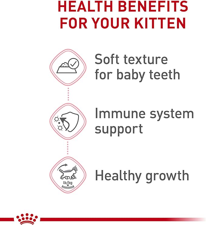Royal Canin Feline Health Nutrition Kitten Thin Slices in Gravy Canned Cat Food, 3 oz can (24-count)