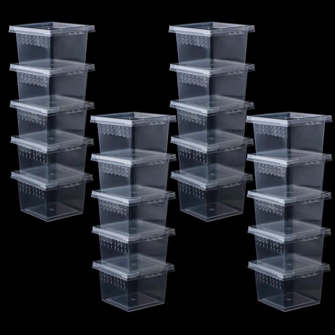 20 Pcs Spider Terrariums Breeding Box Hatching Container Acrylic Feeding Box for Small Reptile Scorpion Centipede Insect (Small Size)