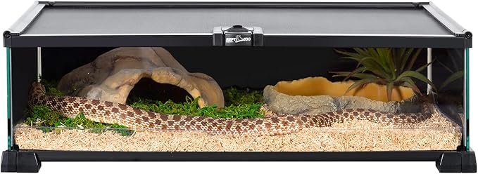 REPTIZOO Small Reptile Tank 20" x 12" x 6" Glass Reptile Terrarium with Top Feeding Reptile Habitat for Reptile Amphibians Snake Spider