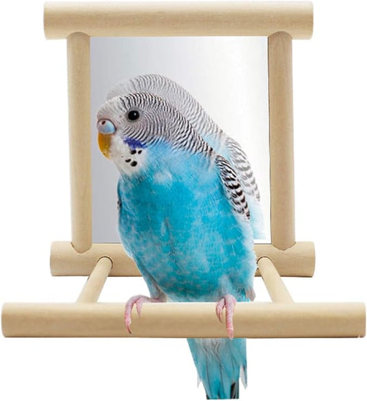 Hypeety Bird Parrot Mirror Toy Swing Hanging with Perch for Parrot Parakeet Budgies Cockatiel Conure Finch Lovebird African Grey Amazon Cockatoo (D)