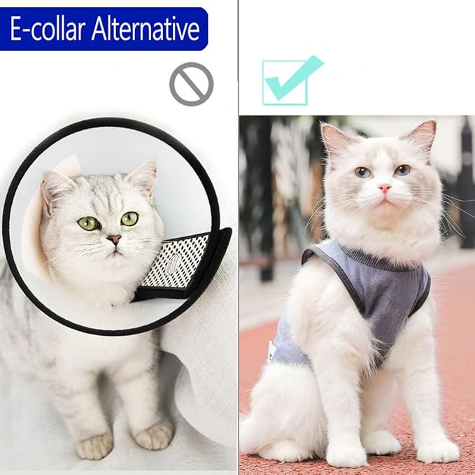 Cat Surgery Recovery Suit Cat Onesie for Cats after Surgery Spay Surgical Abdominal Wound Skin Diseases E-Collar Alternative Wear (Grey-blue-S)