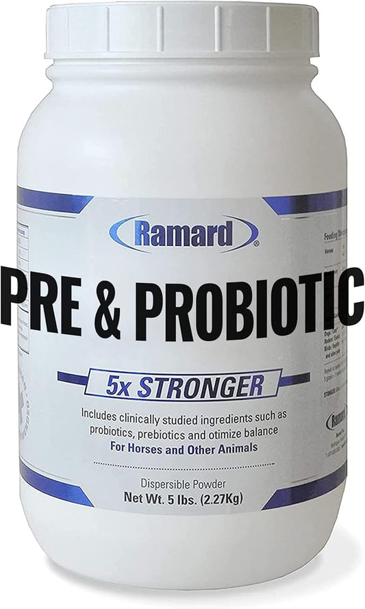 Total Prebiotic & Probiotic Equine Formula - Natural Digestive Supplement for Horses Optimal Gut Health, Nutrient Absorption, Foal Support Pro & Pre Biotics for Livestocks and Horse 5 lbs Jar