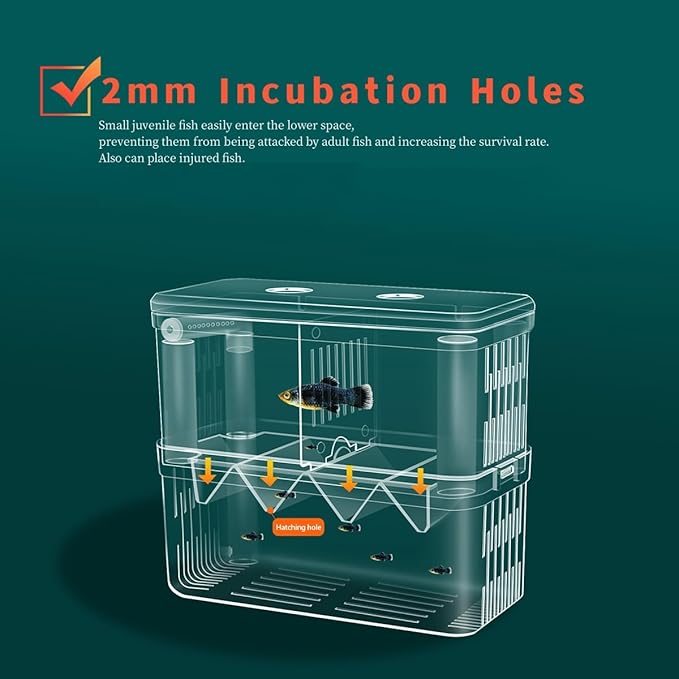 Large Fish Breeder Box for Aquarium, Fish Tank Acrylic Breeding Box, Aquarium Hatchery Incubator Breeder Box, Isolation Divider Hatching Box for Small Clownfish Shrimp Guppy, Can Connected to Air Pump