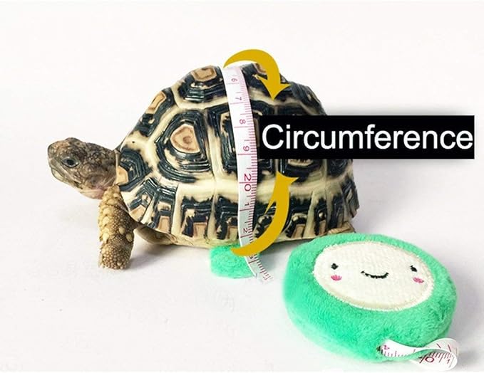 Vehomy Turtle leash Lizard Leash Tortoise Harness Strap Pet Collar Leash Tortoise Walking Lead Control Rope S