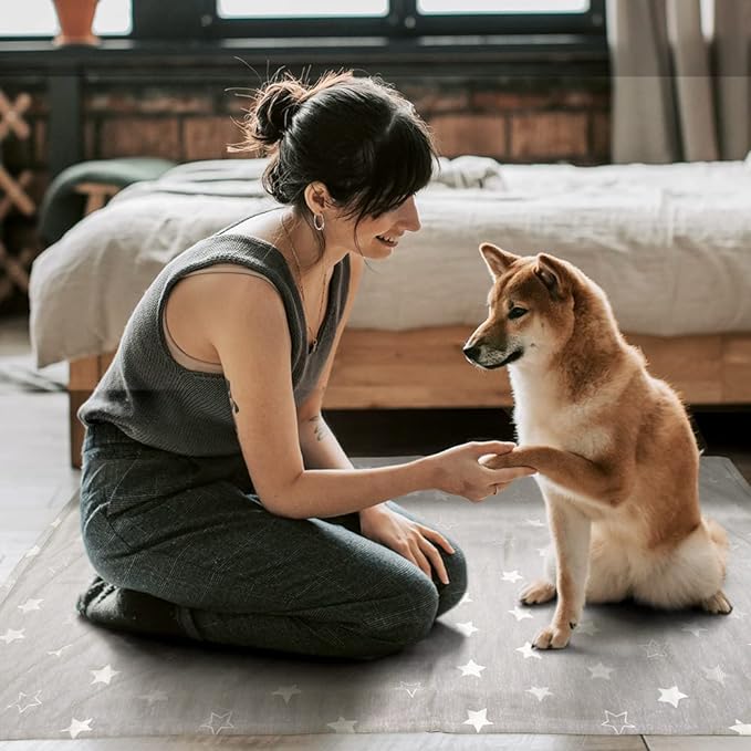 Dog Cooling Blanket 41 * 30inch Lightweight Self Cooling Blanket Bed Cover for Dog Cat Summer Blanket &Ice Silk Cooling Pet Blanket Throw Blanket for Kennel Sofa