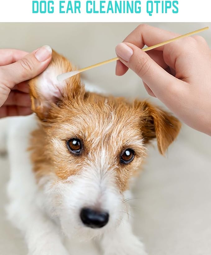 Long Q Tips,400pcs-6 Inch,Bamboo Cotton Swabs for Ears,Long Cotton Swab for Dog Ear Cleaning, Long Cotton Swabs for Makeup,Gun Applicators