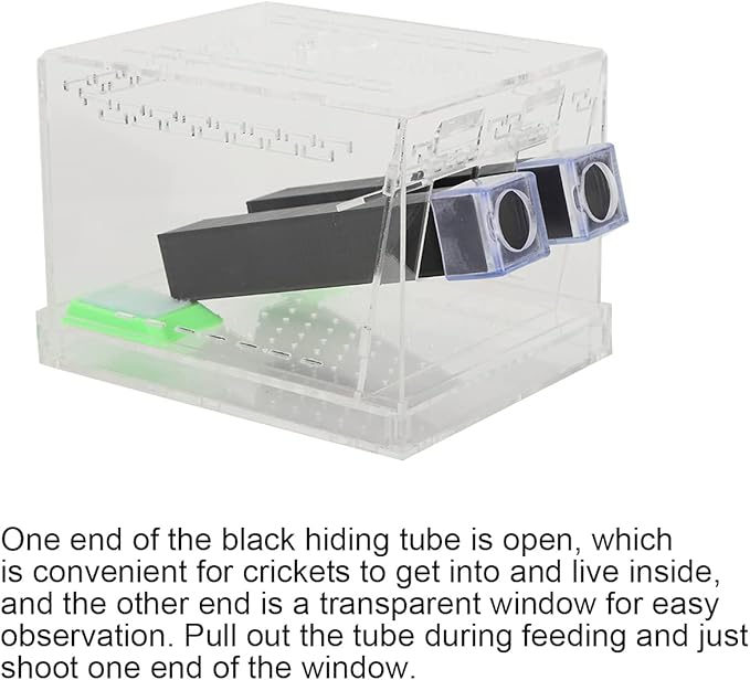 Cricket Keeper, Acrylic Feeding Cricket Keeper with Tubes Feces Layer, Easy to Clean Cricket Care Kit for Observation of Breeding(L)