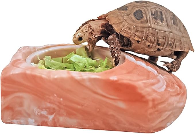 Tortoise Treat Cactus 0.25-Ounce (7.1 Grams) Jar | Freeze Dried Reptile Food | Tortoise Food