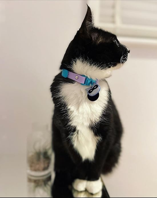 Reflective Cat Charm. Safety Cat Tag. Lightweight, High Visibility, Waterproof. Fits All Reflective Cat Collars. Other Styles Available