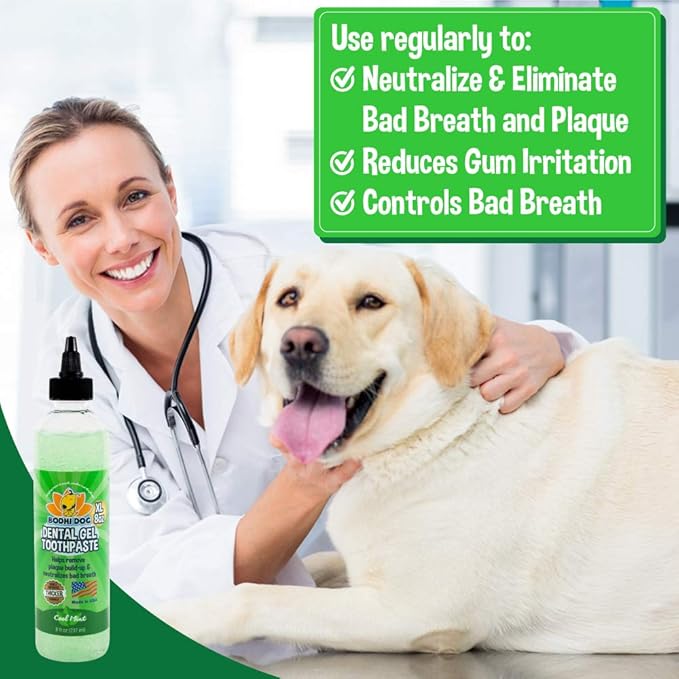 Bodhi Dog Pet Dental Gel | New Thicker Formula | Plaque Remover & Breath Freshener | Toothpaste for Dogs and Cats | Made in USA | 8oz (240ml)