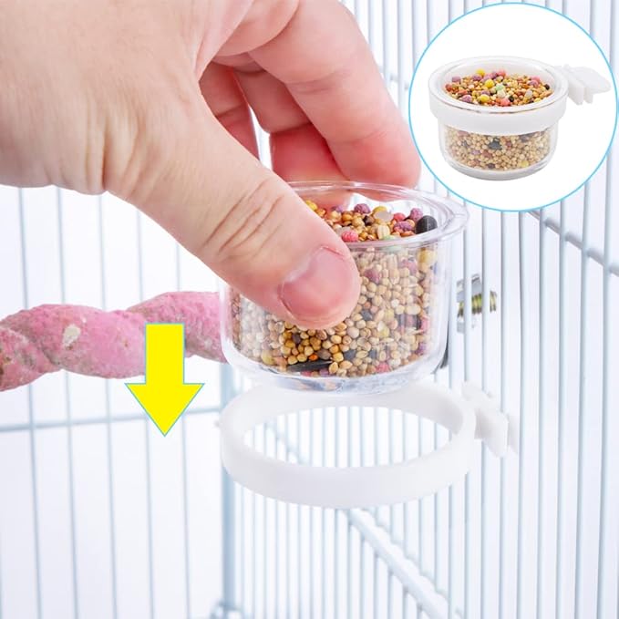 6 Pack Detachable Transparent Bowl Plastic Food Cup Convenient Hanging Seed Water Feeder for Parrot Canary Finch Small Size Bird