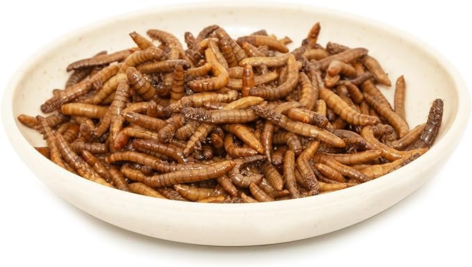 6 Pack Canned Mealworms for Reptiles, Fish, Birds and Small Animals, Meal Worms, Healthy High Protein Treat, Reptile Bird Fish Food 1.2 Ounces Each