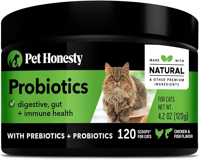 Pet Honesty Digestive Probiotics Max Strength for Cats Supplement - Digestive Support + Gut Health, Probiotic for Cats, Cat Constipation Relief, Bowel Support, Immunity & Overall Health - 120 Scoops