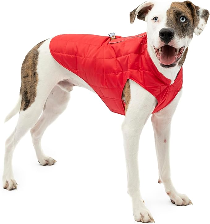 Kurgo Loft Dog Jacket, Reversible Dog Coat, Wear with Harness or Sweater, Water Resistant, Reflective, Winter Coat for Large Dogs (Chili Red, L)