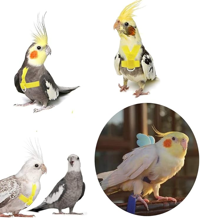 Birds Adjustable Harness and Leash, Parrot Outdoor Flying Training Traction Rope Straps with Cute Wing for Small Animal Birds, Parrots, Pigeons, Lizard, Turtles (L,Yellow)