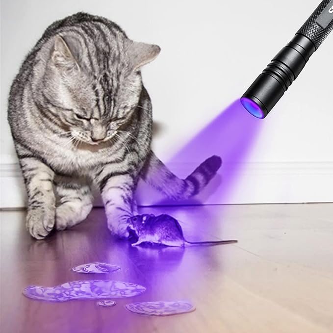 UV Flashlight, LED 395nm Ultraviolet Flashlight, Zoomable Pen Blacklight Flashlight IP54 Waterproof Detector for Pet Urine, Cat Dog Stains, Bed Bug, Household Wardrobe Toilet