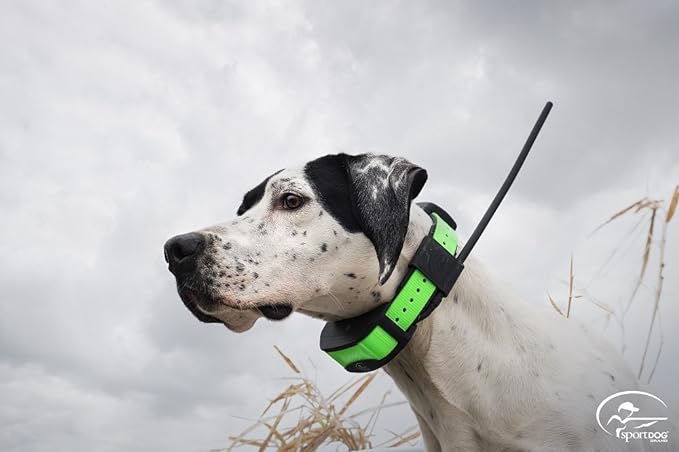 SportDOG Brand TEK Series 1.5 GPS Tracking + E-Collar System - 7 Mile Range - Waterproof and Rechargeable - Tone, Vibration, and 99 Levels of Shock - Expandable to Locate and Train up to 12 Dogs