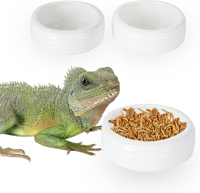 Reptile Food Bowls Ceramic Round Reptile Water Food Dish, Pet Food Bowl for Lizards, Small Snakes, Young Bearded Dragons, Gecko Tortoise Spider (White, Large-2Pack)