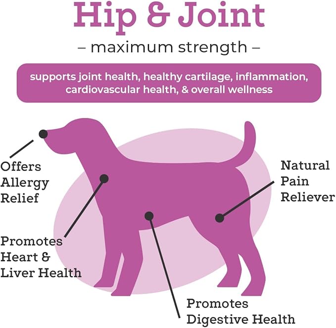 VetPro Dog Hip and Joint Supplement - Pain and Inflammation Relief Chews with Glucosamine, Chondroitin, MSM, Turmeric, Vitamin C, Omega 3 - Treats Hip Dysplasia, Arthritis - Dogs Chewable Supplements