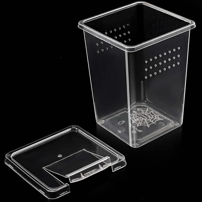 6 Pcs Tarantula Enclosure Insect Spider Terrariums Breeding Box Jumping Spider Enclosure Breeding Box Hatching Container Insect Container Breeding Box (Small Size)
