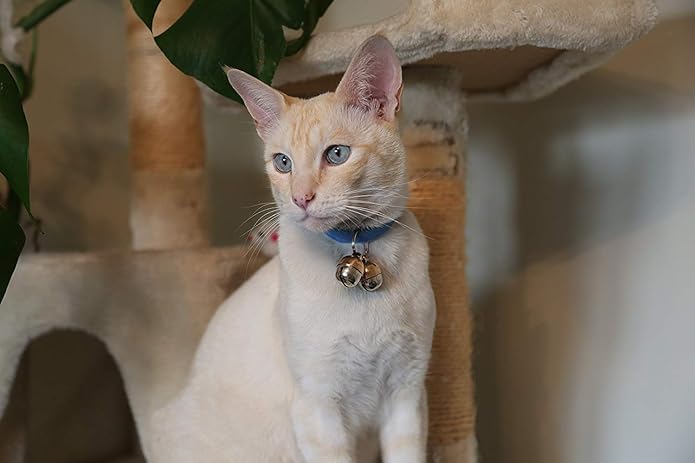 Beau's Bells 2 Extra Loud Cat & Dog Bells | Pet Tracker | Save Birds & Wildlife | Luxury Handmade Copper