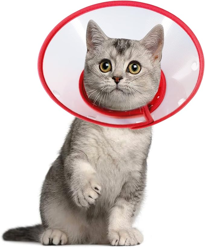 Vivifying Pet Cone for Small Dogs and Cats, Adjustable 5.7-8 Inches Recovery Cone, Lightweight Elizabethan Collar for Cats, Puppy and Small Dogs (Red)