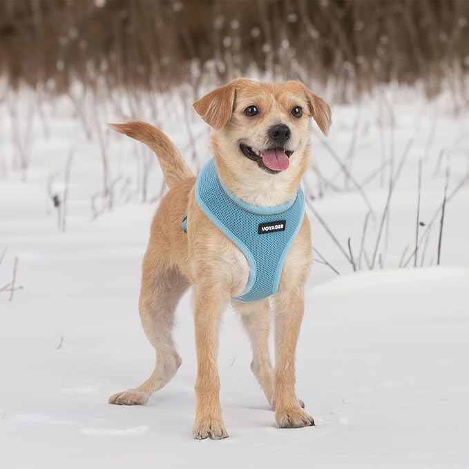 Aerolite No Pull Mesh Dog Harness with Lightweight, Soft, Breathable Chest Coverage, Reflective Stitching, and Adjustable Straps for Walking, Running, Training, Heavy Duty and Durable - Baby Blue, L