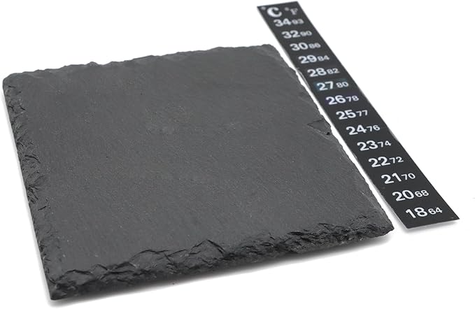Slate Tiles for Reptiles, Food Bowl Dish Feeding Slate Tortoise Habitat Accessories for Reptiles Tank (10 x 10 cm)