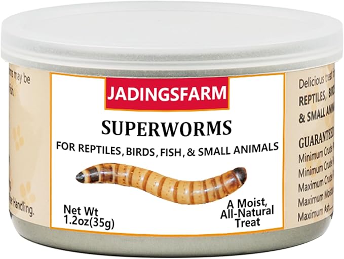 6 Pack Canned Superworms for Reptiles, Fish, Birds and Small Animals, Super Worms, Healthy High Protein Treat, Reptile Bird Fish Food 1.2 Ounces Each