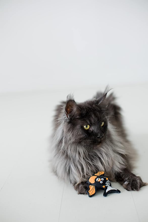 Pearhead Halloween Cat Toys, Set of 2, Holiday Pet Toys, Crinkle and Catnip Toys, Cat Teaser Toys, Must Have Pet Accessories for Pet Owners