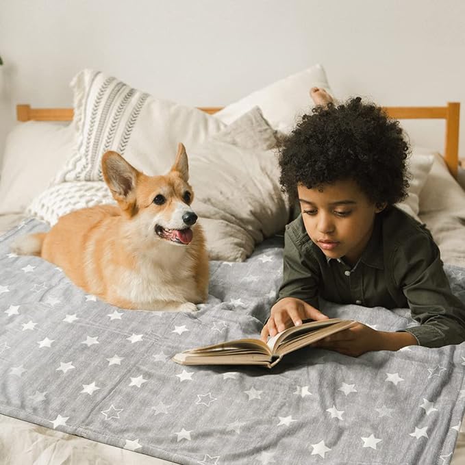 Dog Cooling Blanket 41 * 30inch Lightweight Self Cooling Blanket Bed Cover for Dog Cat Summer Blanket &Ice Silk Cooling Pet Blanket Throw Blanket for Kennel Sofa