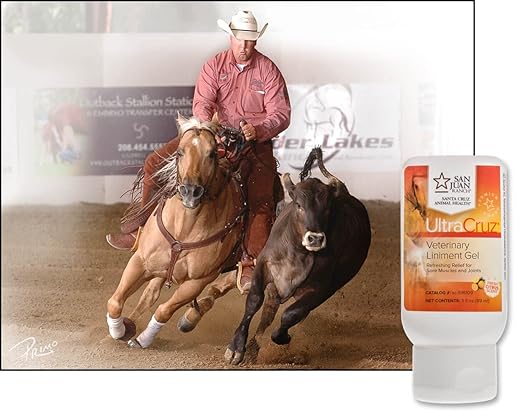 UltraCruz - sc-516109 Veterinary Liniment Gel for Horses, 3 oz