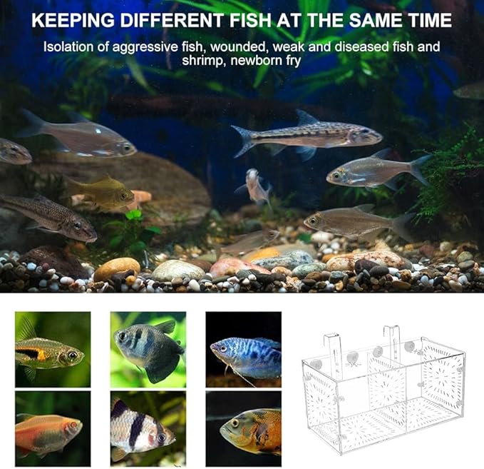 DONGKER Fish Breeding Box,Acrylic Removable Fish Separation Box Height Adjustable with Suction Cup & Hook & Feeding Hole for Aquarium Fish Tank