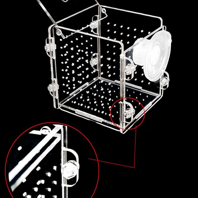 Fish Breeding Box, Acrylic Aquarium Isolation Box Fish Breeder Box with Suction Cup Aquarium Fish Hatchery Incubator for Newborn Baby Fry Shrimp Betta Guppy Clownfish