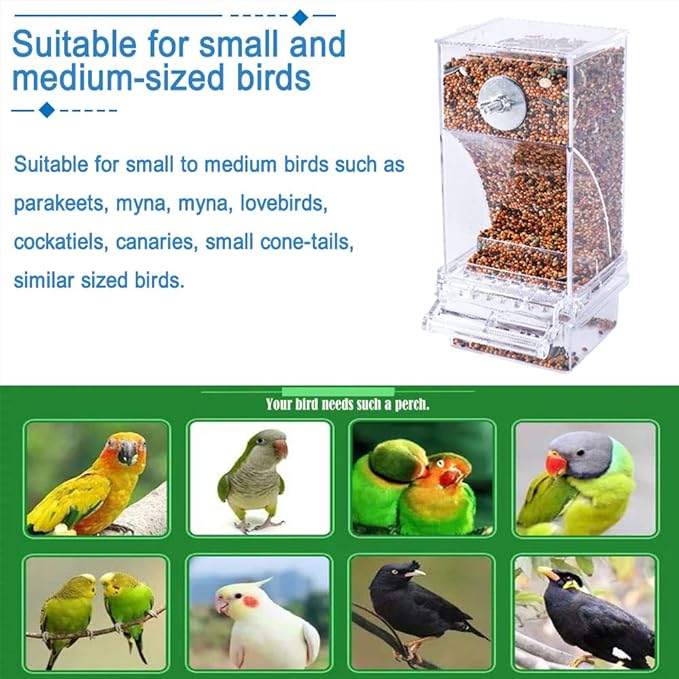 Hamiledyi No Mess Bird Cage Feeder 2Pack Automatic Parrot Seed Feeders with Perch Acrylic Transparent Seed Food Container Cage Accessories for Small and Medium Lovebirds Parakeets