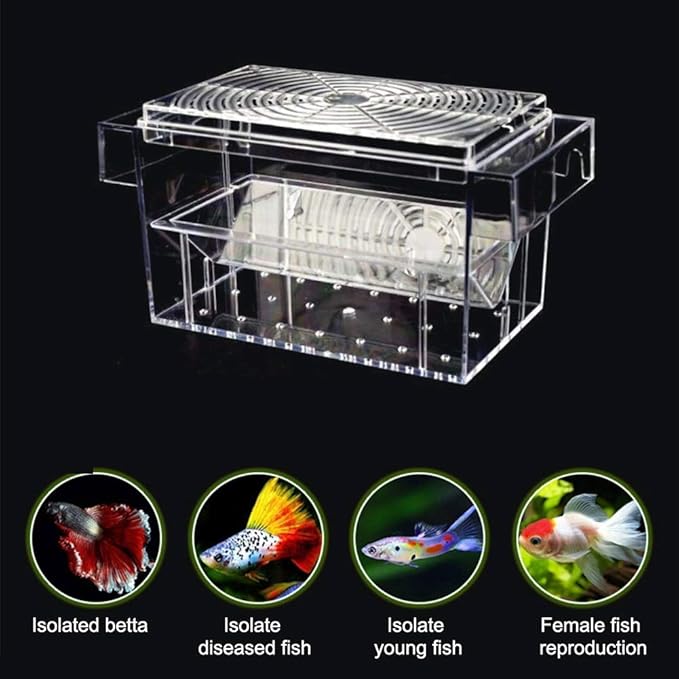 Saim Fish Breeding Box Tank Acrylic Double Guppies Hatching Incubator Isolation Box,Aquarium Accessories for Aggressive Fish Injured Fish Small Fish Shrimp Clownfish - A