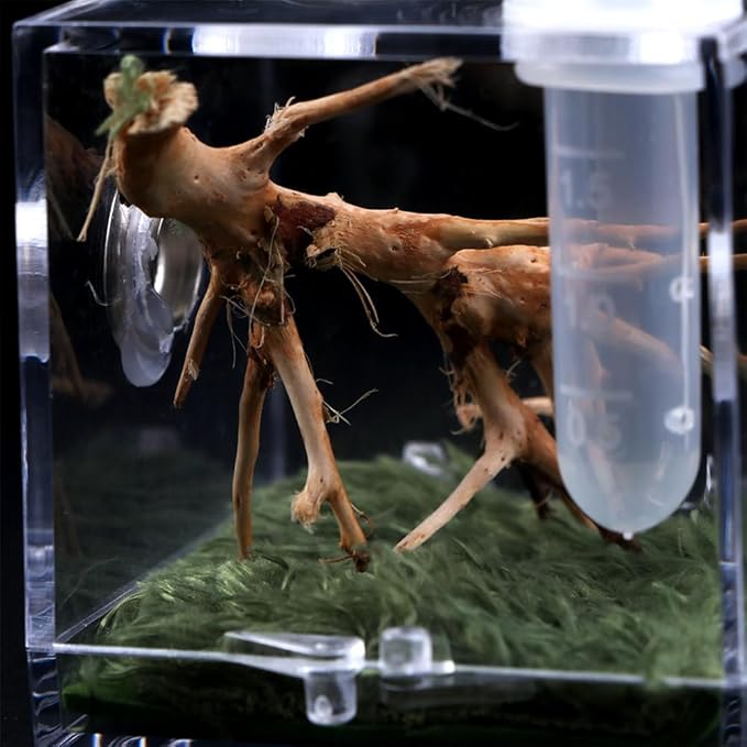Spider Terrarium,Acrylic Reptile Terrarium,Jumping Spider Enclosure with Dropper Tongs,Reptile Breeding Habitat Box