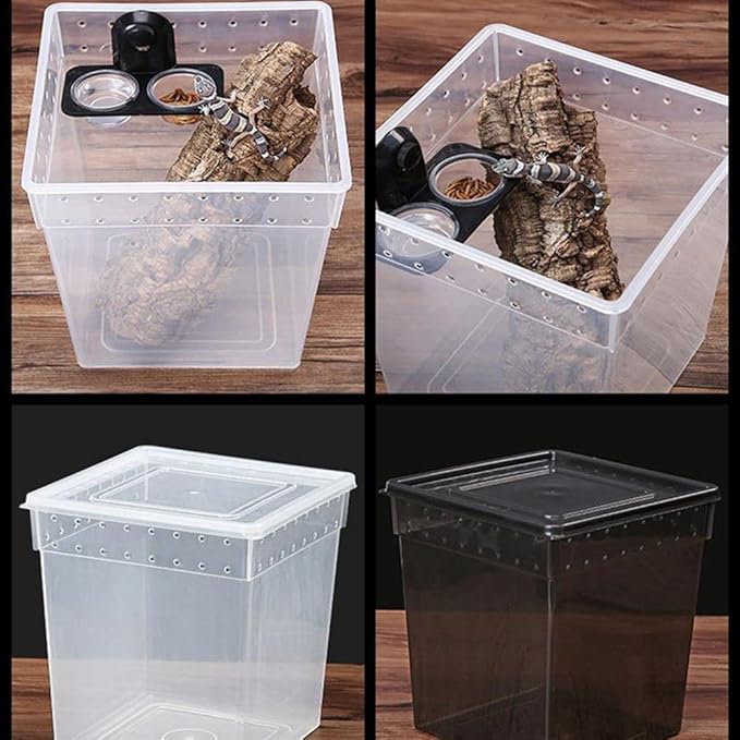 Reptiles Lizard Gecko Food Water Bowls Terrarium Breeding Feeders Box Feeding Bowl for Small Reptiles(White)
