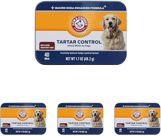 Arm & Hammer for Pets Tartar Control Dental Mints for Dogs | Dog Dental Mints Help Reduce Plaque & Tartar Buildup without Brushing | Beef Flavor, 40 Count (Pack of 4)