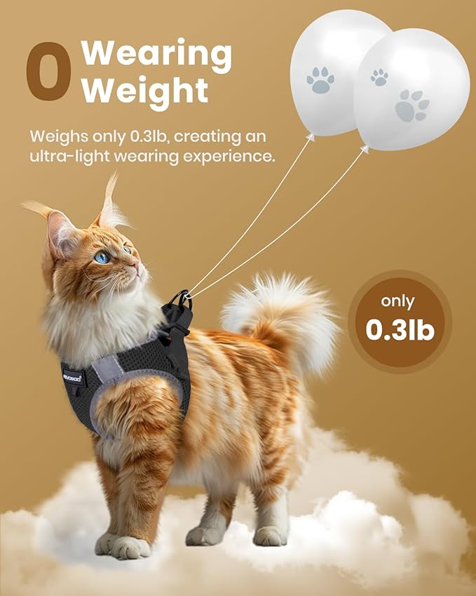 Cat Harness and Leash Set for Walking Escape Proof, Kitten Adjustable Small Large Cat Lightweight Soft Vest Harness and Leash