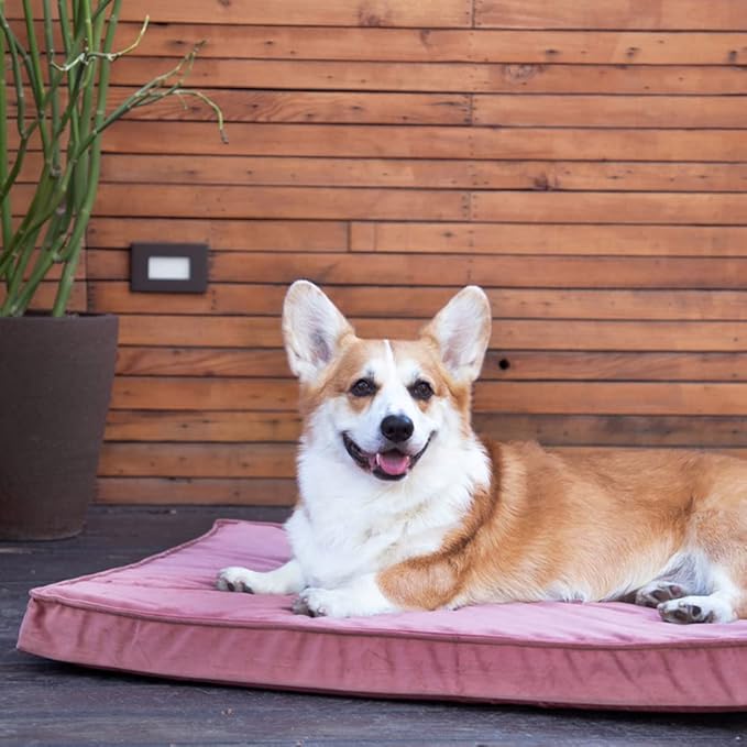 Best Friends by Sheri Dog Bed Cover Replacement for Nap Mat Dog Bed, Velvet, Wine Red, 27" x 36"