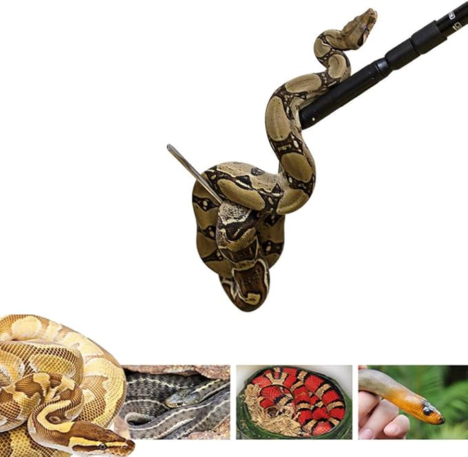Snake Hook Reptile Grabber Rattle Snake Catcher,Professional Aluminum Alloy with Telescopic Rod and Lock, Comfortable Grip Handle for Catching,Controlling,Moving (53 inch Snake Hook)